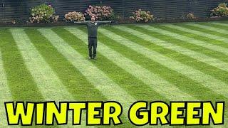 You CAN have a GREEN LAWN this WINTER