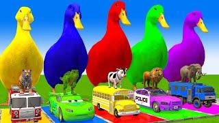 5 Giant Duck Cartoon,Cow,Elephant,Giraffe,Tiger,Lion, Paint Wild Animals Crossing Fountain Animation