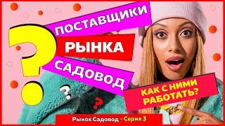 ПОСТАВЩИКИ РЫНКА САДОВОД, КАК НАЙТИ ПОСТАВЩИКА? Серия -3