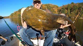 Catching BIG Catfish in TINY Boat - tips and tactics to catch more catfish