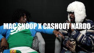 Mac Snoop ️I Get My  Free  CashOut Nardo @boxedin_