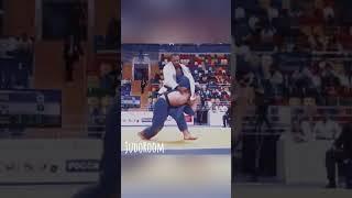 All the Beauty of Judo in one Video 