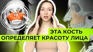 МАКСИЛЛА: как стать эталоном привлекательности