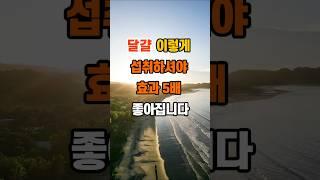 달걀 이렇게 섭취하셔야 효과 5배 좋아집니다 #지혜 #좋은글 #명언 #인생조언
