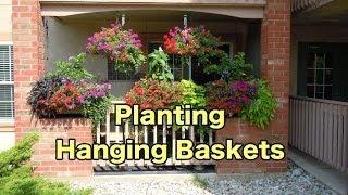 Planting some Hanging Baskets