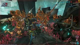 1 Hr Infested themed build: Nidus builds, pox, hirudo