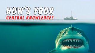75 Mixed General Knowledge Questions - How Many Can You Answer Correctly?