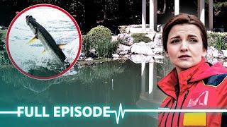 Feeding Pet Fish Takes A Dramatic Turn | Ambulance Code Red - Season 2 Episode 4 (Full Episode)