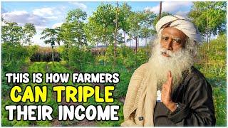 How to triple Agriculture Income | Sadhguru's Vision for Farming Success!