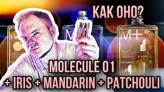 Molecule 01 + Iris, Molecule 01 + Mandarin, Molecule 01 + Patchouli 