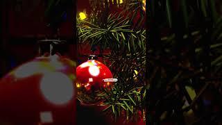 Dance of the Sugar Plum Fairies - Kevin MacLeod | Christmas songs| Músicas de Natal