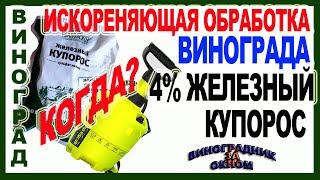  4% железный купорос ! Срочно обработать виноград перед укрытием? Насколько важна эта обработка?