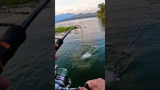 Extreme Giant Snakehead Fishing!!!