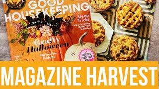 Magazine Harvest • #gluebooks #gluebook #magazineharvest #magazineimages #crafting #collageimages