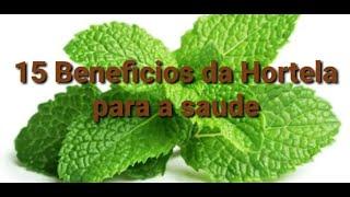 15 BENEFÍCIOS DA HORTELÃ PARA A SAÚDE