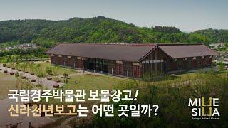 신라천년보고는 어떤 곳일까?국립경주박물관 보물창고, 개방형 수장고와 그 곳에서 일하는 사람들!