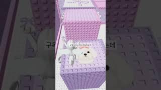 #로블록스 #추천 템블릿출처:샤산짱  #로블계 #추천떠라 #구독