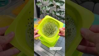 How to Make Reusable Microgreen Tray Inserts