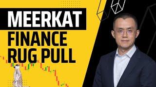 The Mad Meerkat Finance Rug Pull: Explained!