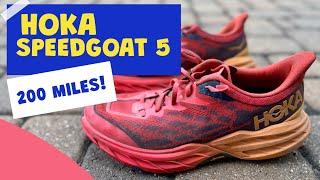 Hoka Speedgoat 5 After 200 Miles | How Are They Worth Buying?