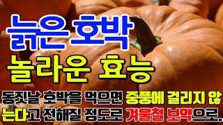 늙은호박의 놀라운 효능 8가지 & 부작용 / "늙은호박의 힘: 면역력 강화와 건강한 생활을 위한 최고의 선택"