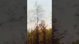 Tere naam #reels #song #youtube #nature