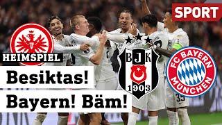 Frankfurter Vorfreude: Eintracht gegen Besiktas & Bayern | Heimspiel | 30.09.24 | Sport