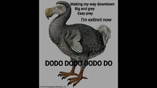 Parody Meme clip - The Dodo