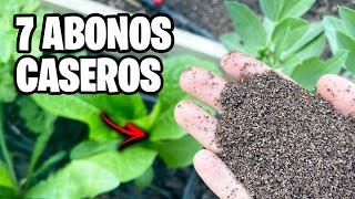 Los 7 MEJORES ABONOS CASEROS Para Tus PLANTAS!! Consigue Más FLORES y FRUTOS | La Huerta de Ivan