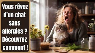 Vous rêvez d'un chat sans allergies ? Découvrez comment !