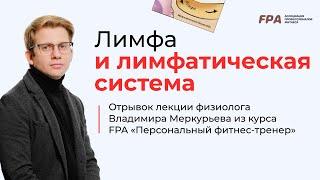 Лимфа и лимфатическая система | Владимир Меркурьев (FPA)