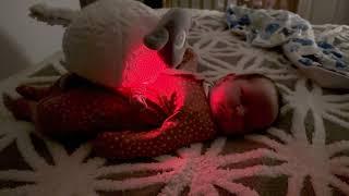 Eliza plays with Ewan the sheep