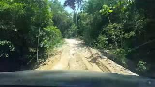 Sustainable forest management project, Rondônia, Brazil