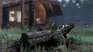 LUMION ARCHITECTURE House Cabin In the Rainy Woods ANimation