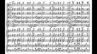 Franz Liszt - Von der Wiege bis zum Grabe, S.107 (score-video)