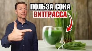 Сок витграсса в порошке: все циклы производства