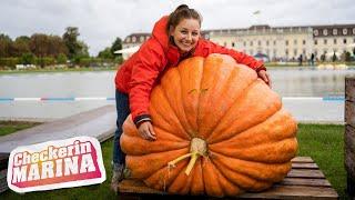 Der Obst-und-Gemüse-Check | Reportage für Kinder | Checkerin Marina