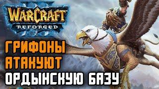 Грифоны атакуют Ордынскую базу: Infi (Hum) vs Focus (Orc) Warcraft 3 Reforged