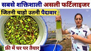 NPK fertilizer और DAP से कई गुना ताकतवर बायो एंजाइम +खाद | Aloe Vera bio enzyme | jaggery uses/kheti