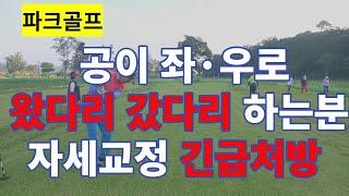 파크골프(park golf) 공 똑바로 안갈때 자세 교정 긴급 처방 . 헤드 업(head up), 스웨이(sway) 교정.パークゴルフ