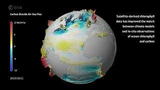 Carbon dioxide ocean–atmosphere exchange