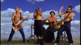 ️️️ Red Hot Chili Peppers -  Californication [OFFICIAL MUSIC VIDEO] 