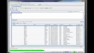 Informatica Data Services - Introduction