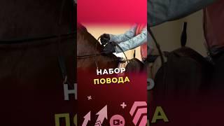 «Набор повода» #лагерьЭклектика #конныйспорт #конный #верховаяезда