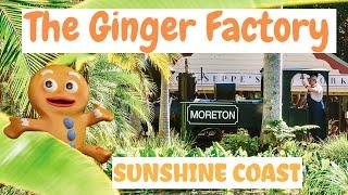 THE GINGER FACTORY | Sunshine Coast, Queensland, Australia Travel Vlog 054, 2020