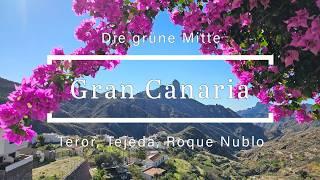 Gran Canaria - Die grüne Mitte - Teror, Tejeda, Pico de las nieves, Vega de San Mateo