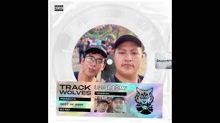 Luigi.edm7 - TrackWolves Best Of 2023 DJ Mix