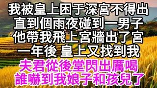 我被皇上困于深宮不得出，直到個雨夜，碰到一男子，他帶我飛上宮牆出了宮，一年後，皇上又找到我，夫君從後堂閃出厲喝，誰嚇到我娘子和孩兒了 【美好人生】