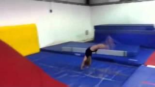 Paradise gymnastics