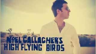 Noel Gallagher's High Flying Birds - The Good Rebel